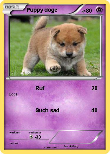 Pokemon Puppy doge