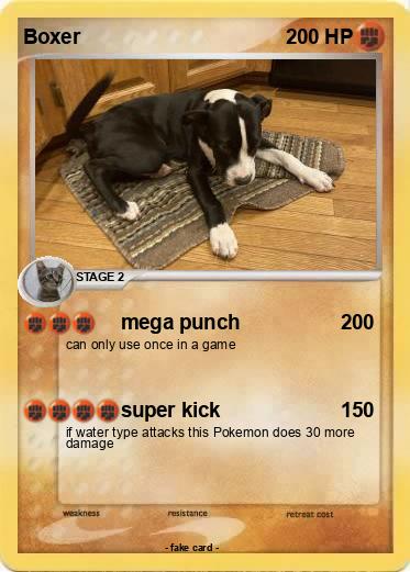 Pokemon Boxer