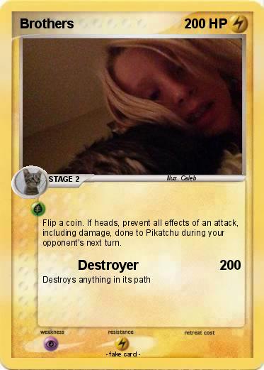 Pokemon Brothers