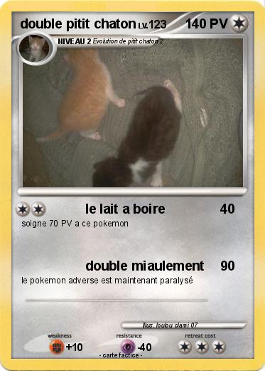 Pokemon double pitit chaton