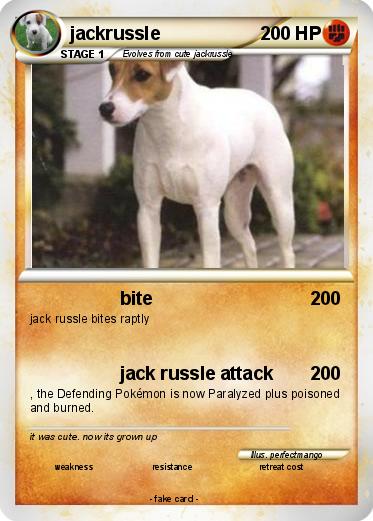 Pokemon jackrussle