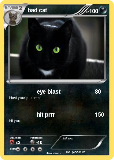 Pokemon bad cat