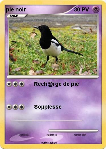 Pokemon pie noir