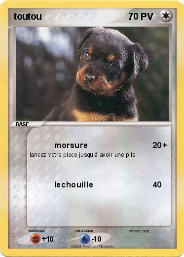 Pokemon toutou