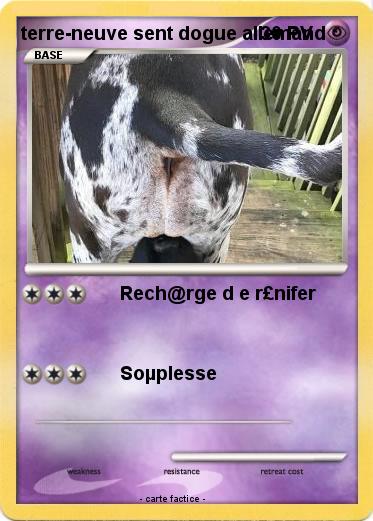 Pokemon terre-neuve sent dogue allemand
