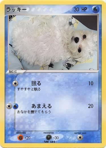 Pokemon ラッキー