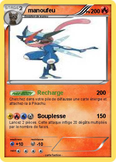 Pokemon manoufeu