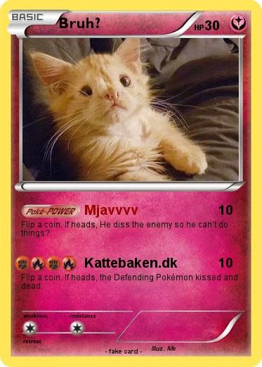Pokemon Bruh?