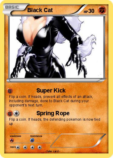 Pokemon Black Cat