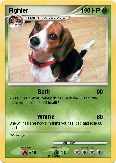 Pokemon Fighter