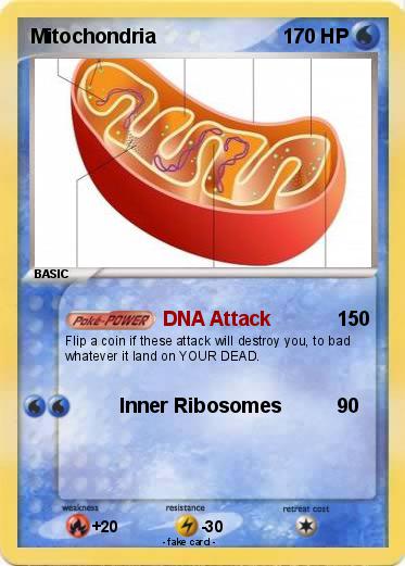 Pokemon Mitochondria