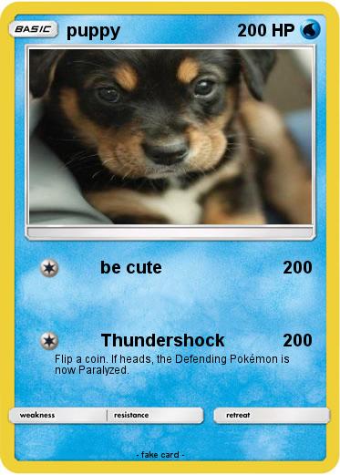 Pokemon puppy