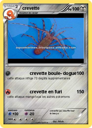 Pokemon crevette