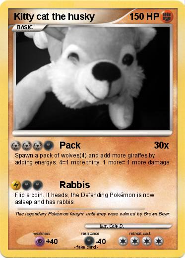 Pokemon Kitty cat the husky