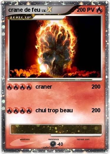Pokemon crane de feu