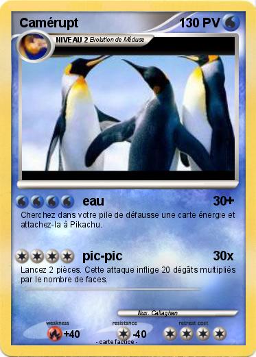 Pokemon Camérupt