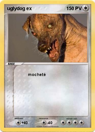 Pokemon uglydog ex