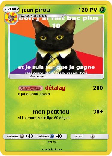 Pokemon jean pirou