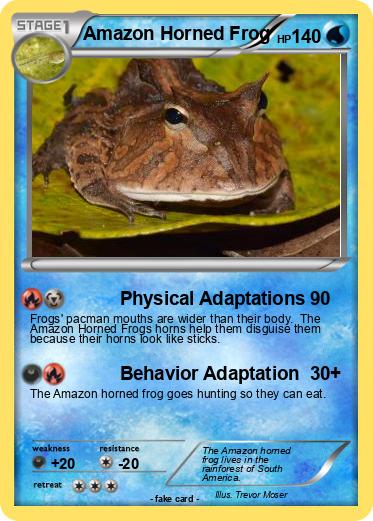 Pokemon Amazon Horned Frog