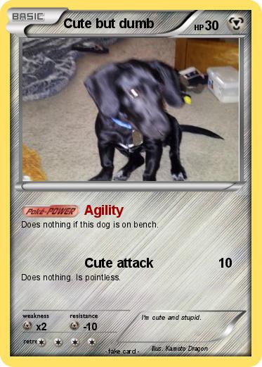 Pokemon Cute but dumb