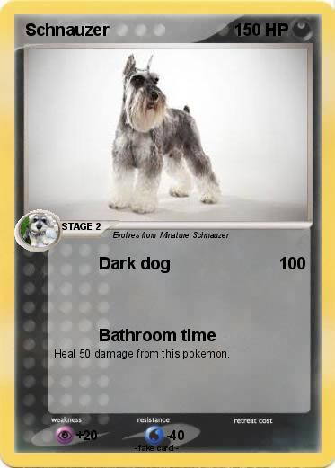 Pokemon Schnauzer