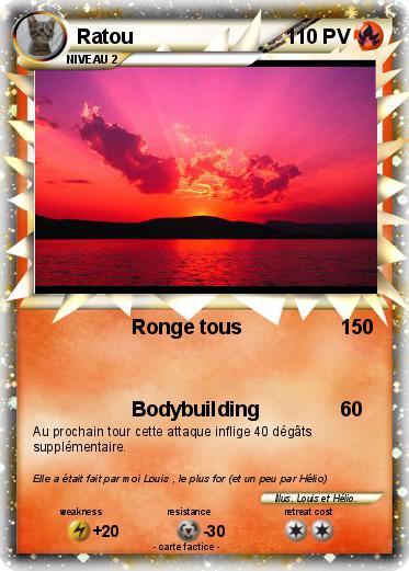 Pokemon Ratou