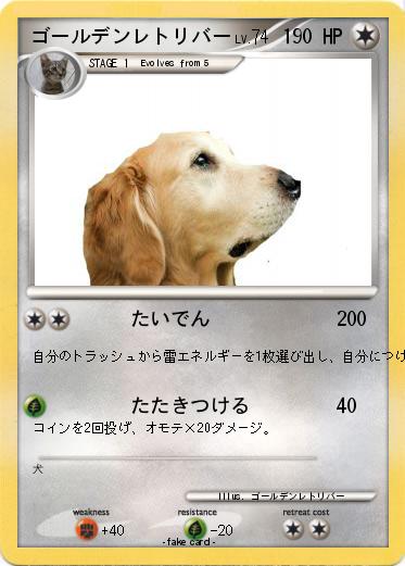 Pokemon ゴールデンレトリバー