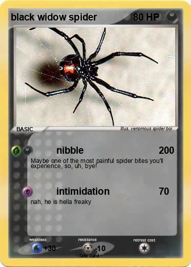 Pokemon black widow spider