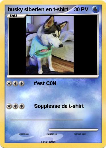 Pokemon husky siberien en t-shirt