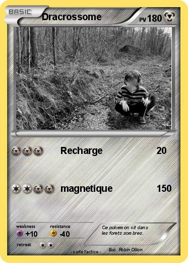 Pokemon Dracrossome