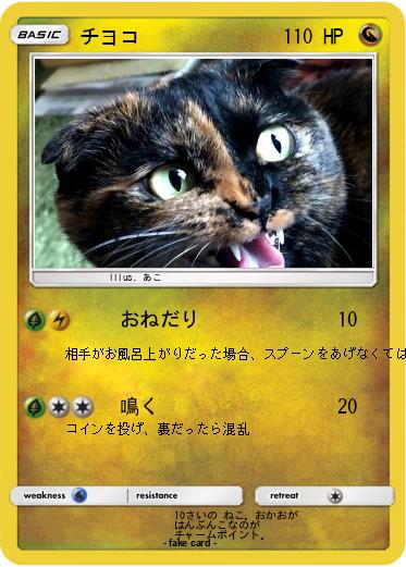Pokemon チヨコ