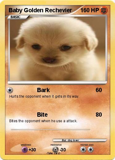 Pokemon Baby Golden Rechevier