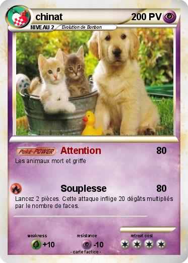 Pokemon chinat