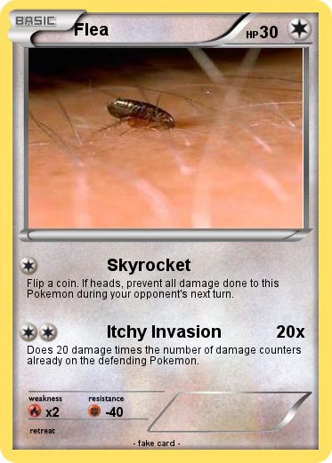 Pokemon Flea