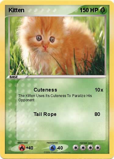 Pokemon Kitten