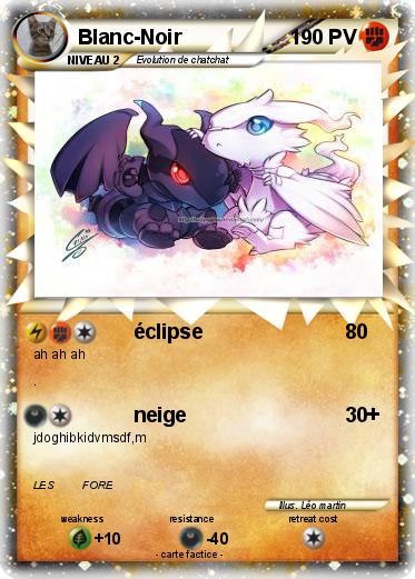 Pokemon Blanc-Noir