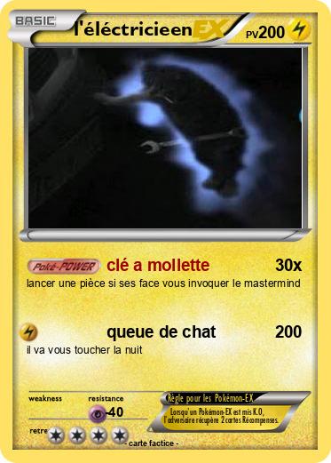 Pokemon l'éléctricieen