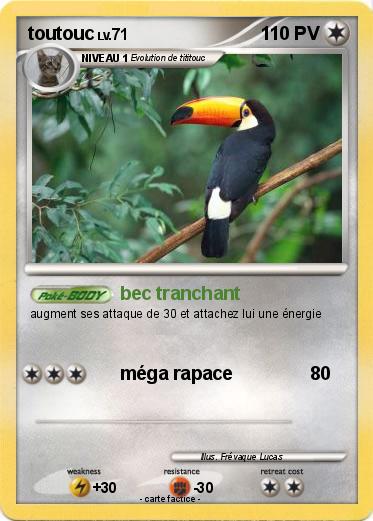 Pokemon toutouc