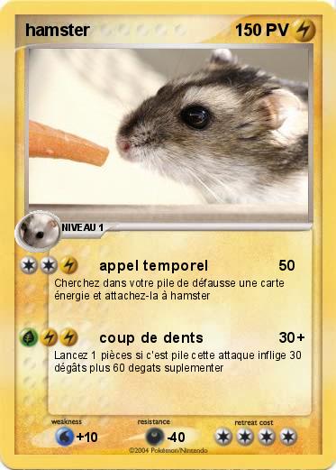 Pokemon hamster
