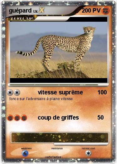 Pokemon guépard