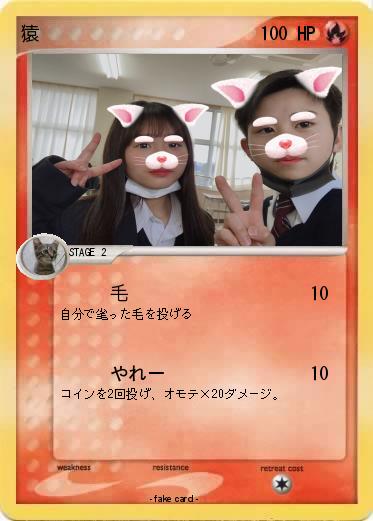 Pokemon 猿