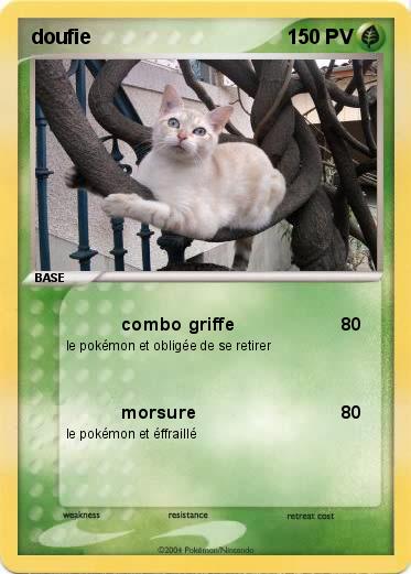 Pokemon doufie