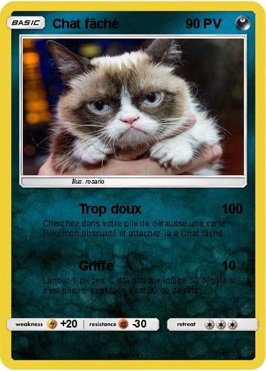 Pokemon Chat fâché