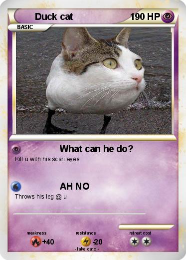 Pokemon Duck cat