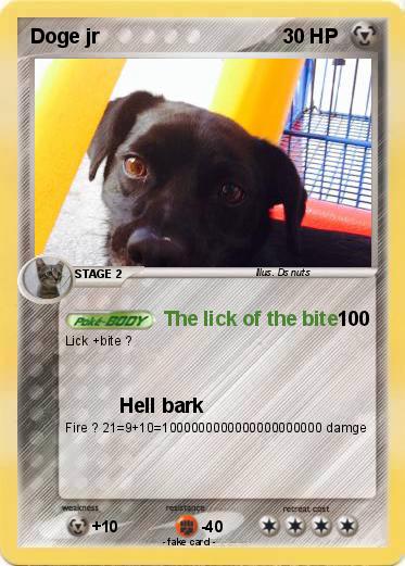 Pokemon Doge jr