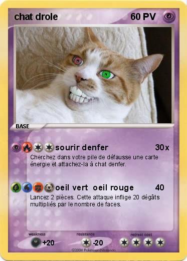 Pokemon chat drole