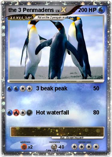 Pokemon the 3 Penmadens