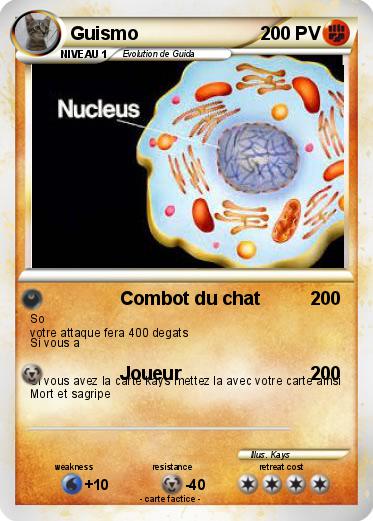 Pokemon Guismo
