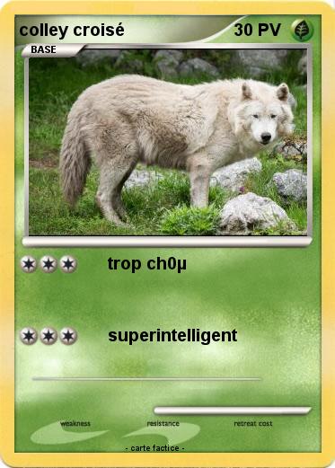Pokemon colley croisé