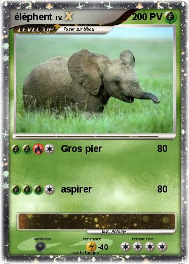 Pokemon éléphent